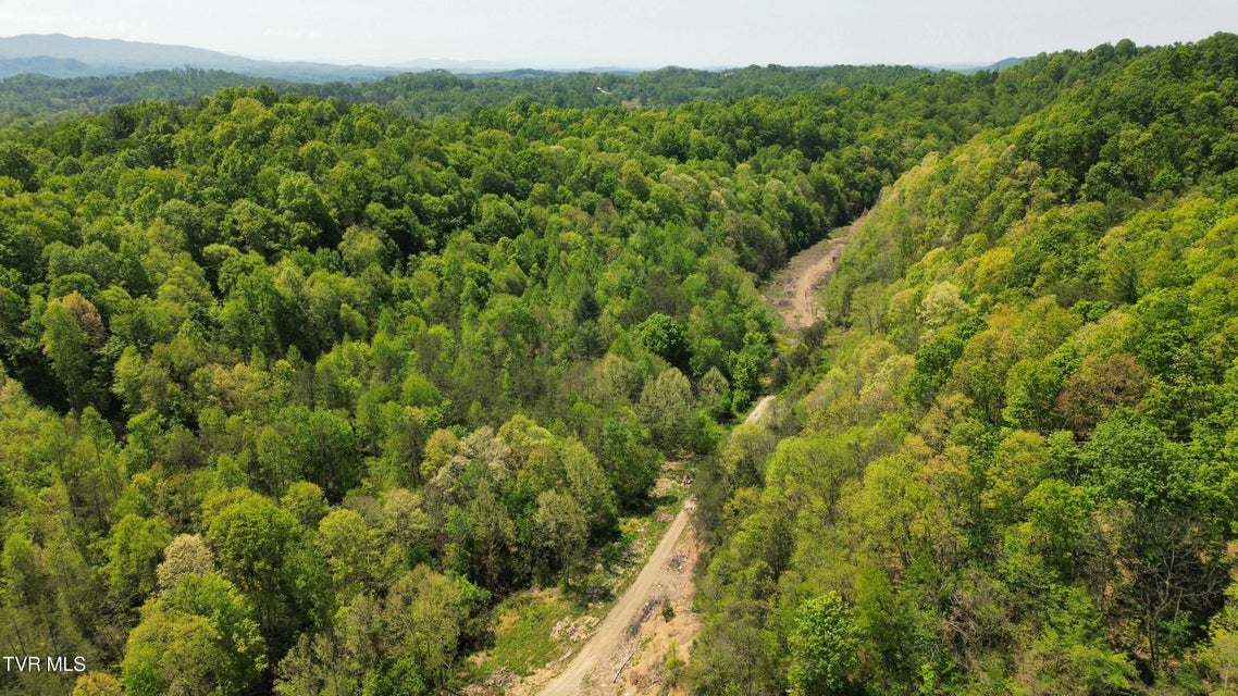 Photo #4: 235 Bear Hollow Road