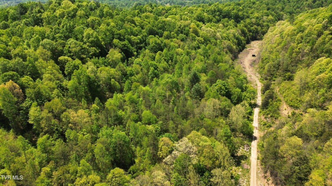 Photo #14: 235 Bear Hollow Road