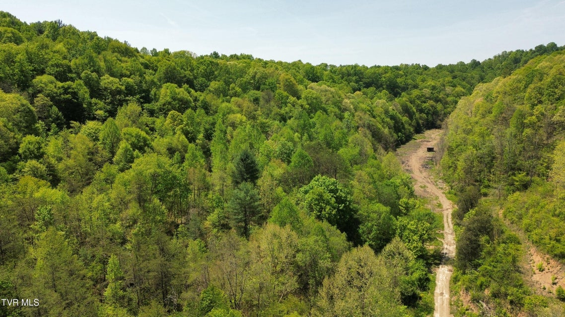 Photo #3: 235 Bear Hollow Road