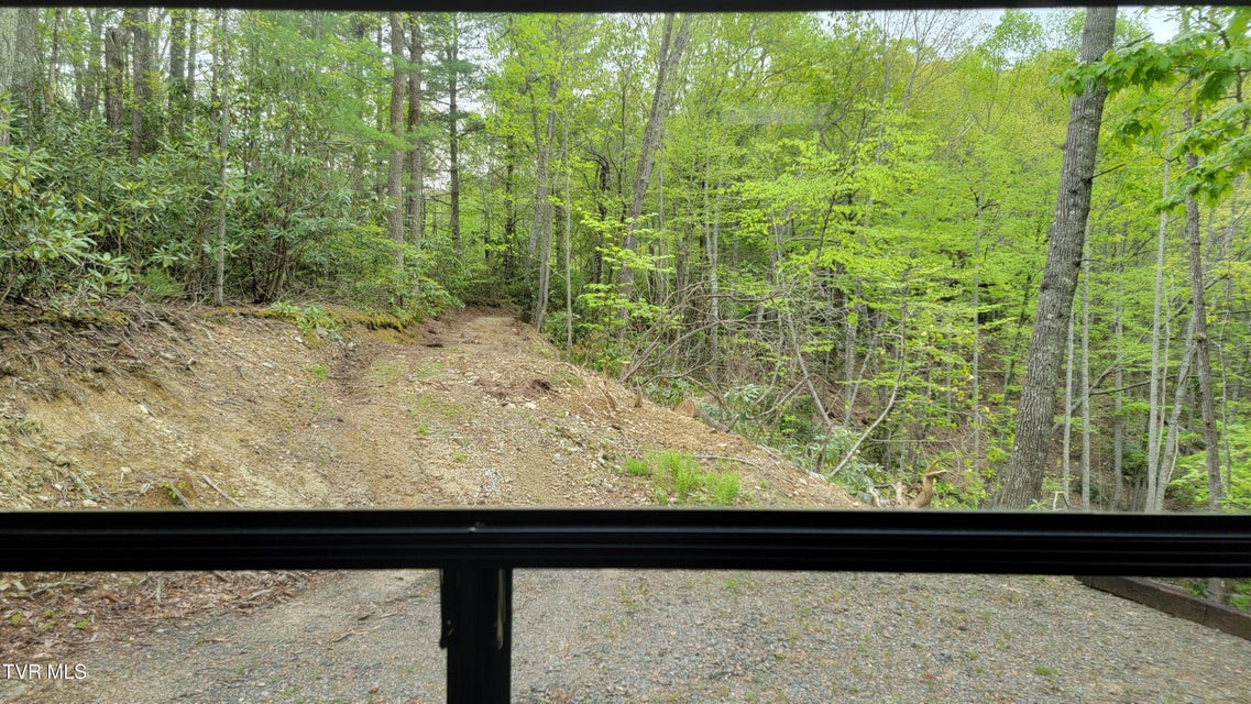 Photo #19: 584 Dotson Road