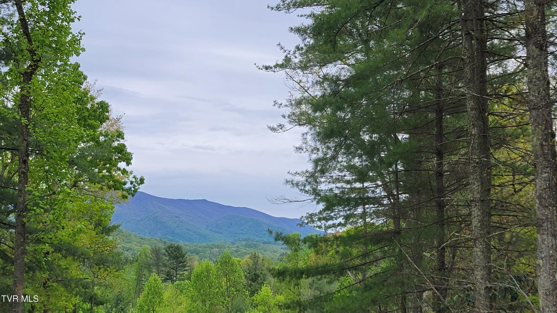 Photo #2: 584 Dotson Road