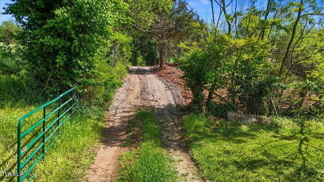 Photo #3: Tbd Hipps Road