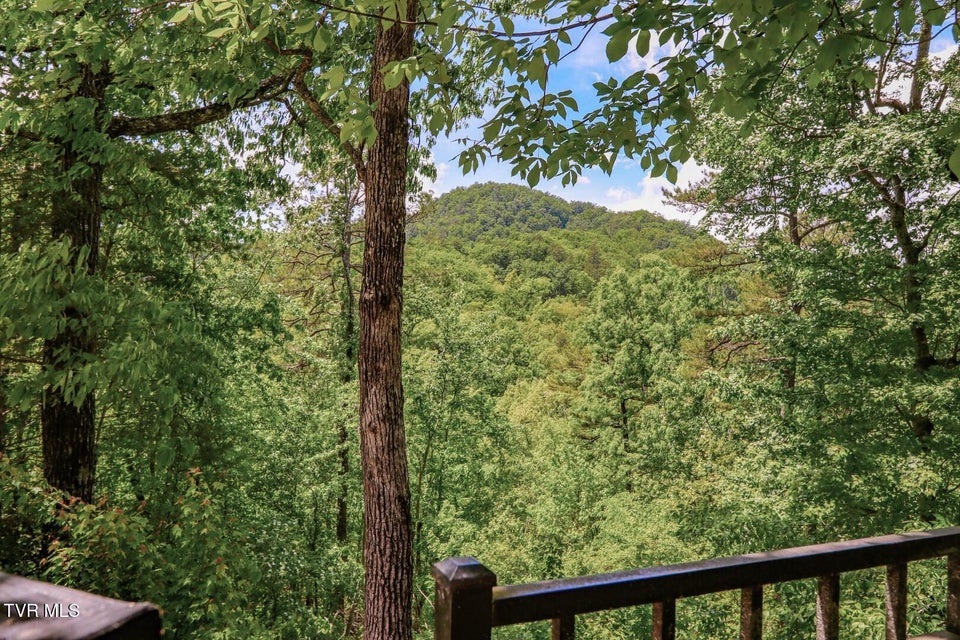 Photo #26: 2975 Arch Rd