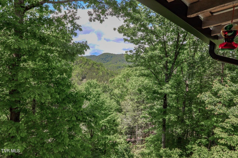 Photo #28: 2975 Arch Rd
