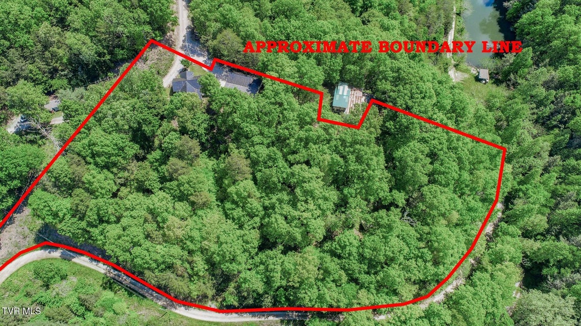 Photo #41: 2975 Arch Rd