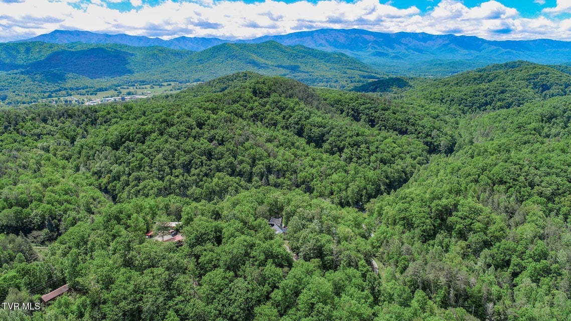 Photo #45: 2975 Arch Rd