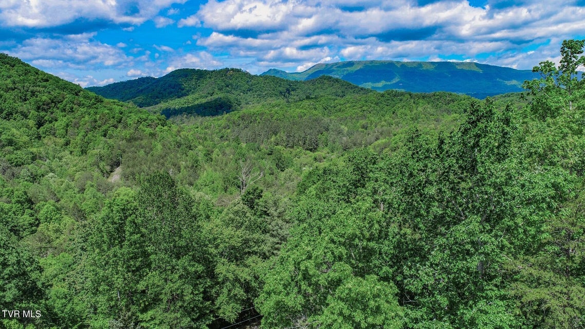 Photo #50: 2975 Arch Rd