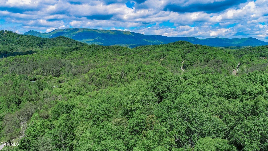 Photo #51: 2975 Arch Rd