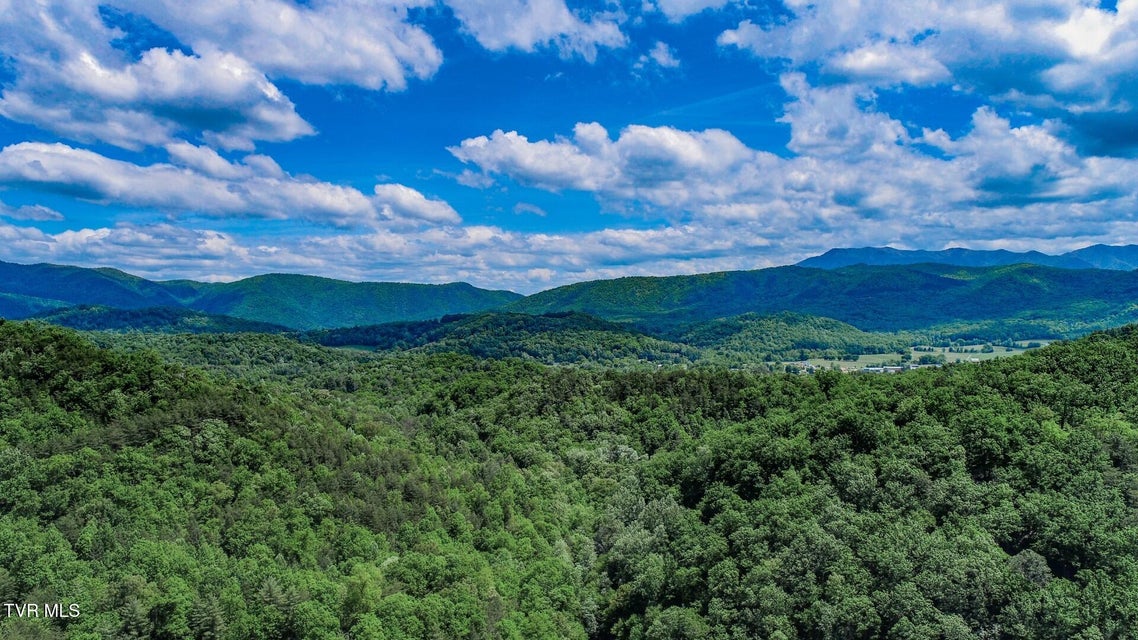 Photo #52: 2975 Arch Rd