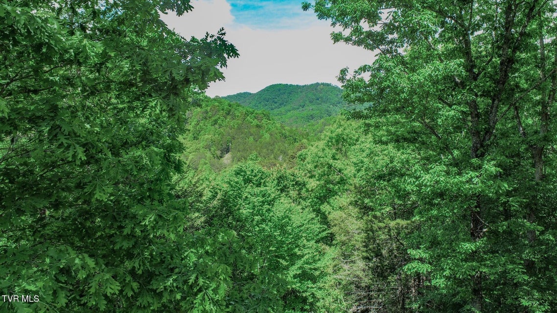 Photo #54: 2975 Arch Rd