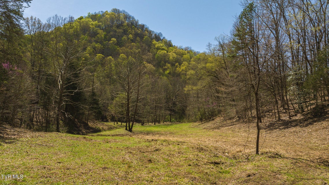 Photo #3: 512 Hwy 70