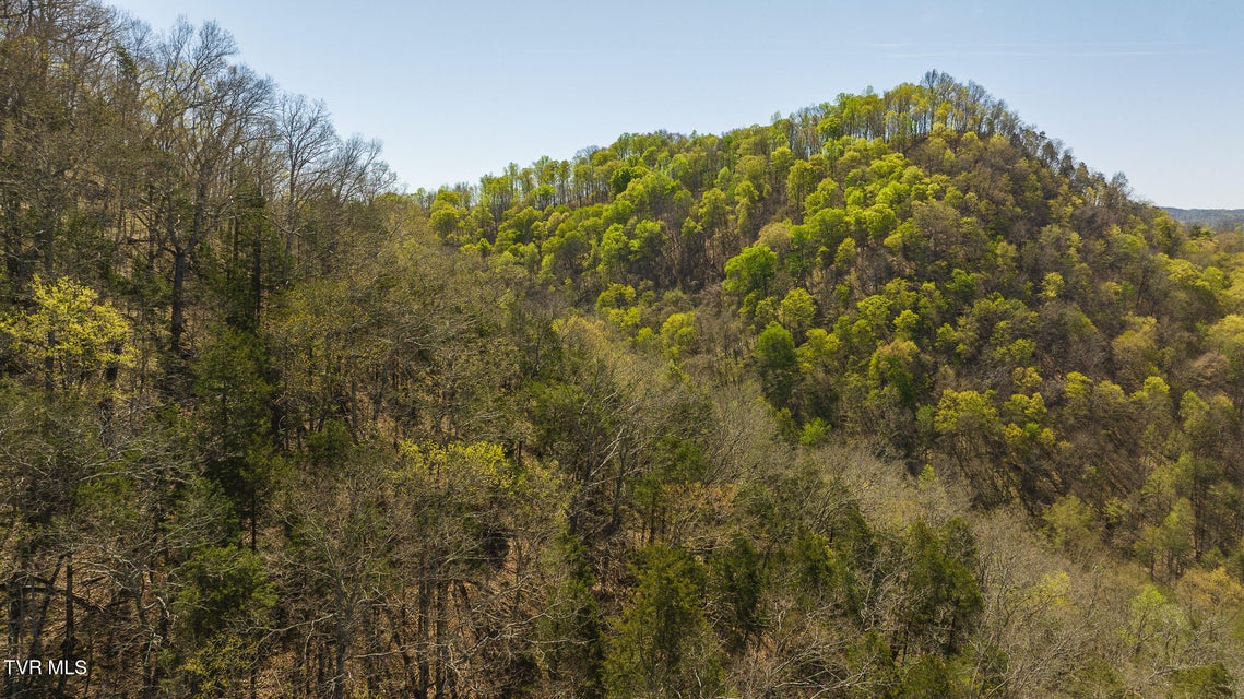 Photo #5: 512 Hwy 70