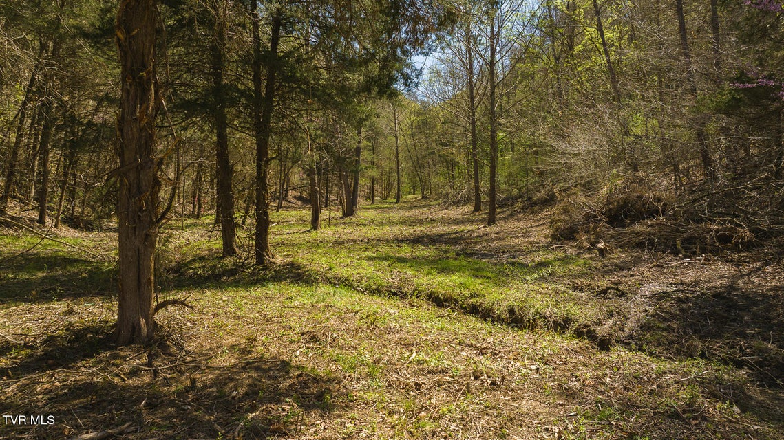 Photo #9: 512 Hwy 70