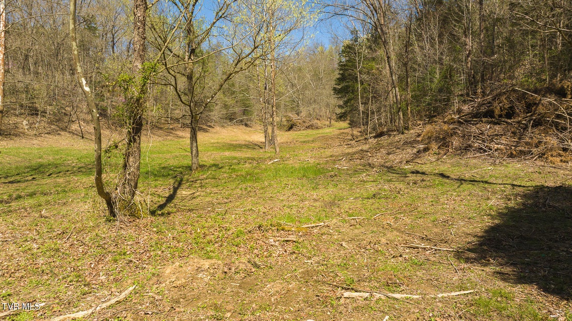 Photo #10: 512 Hwy 70