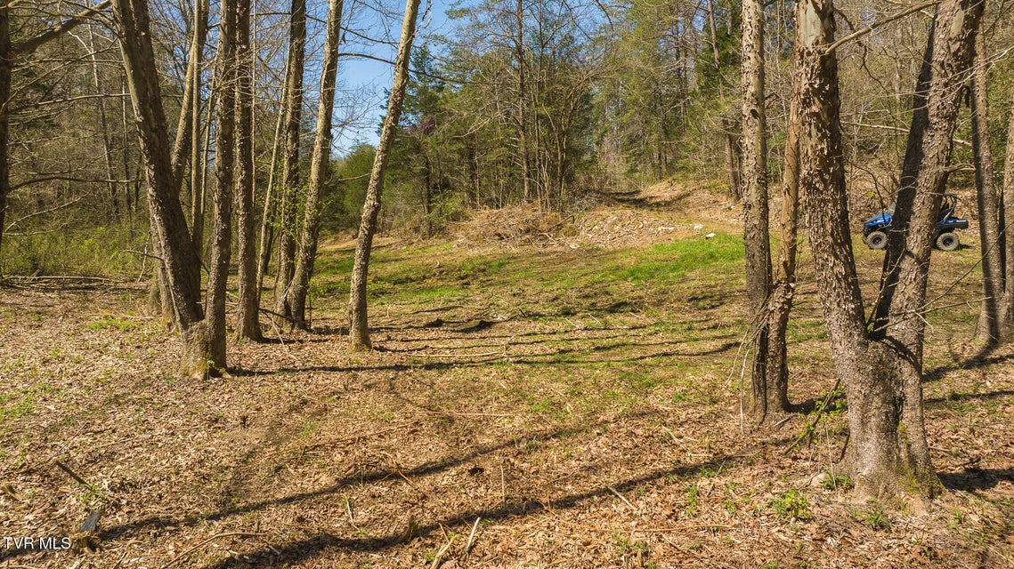 Photo #12: 512 Hwy 70
