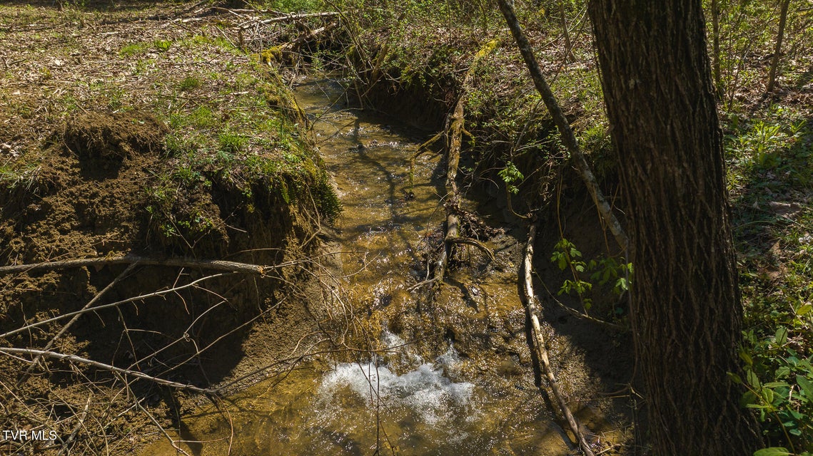 Photo #13: 512 Hwy 70