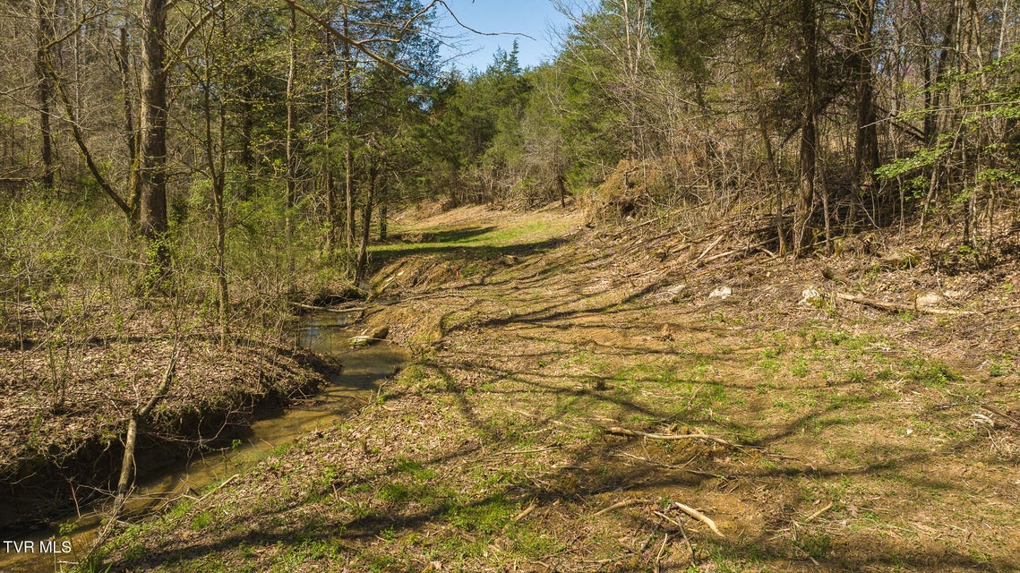 Photo #15: 512 Hwy 70