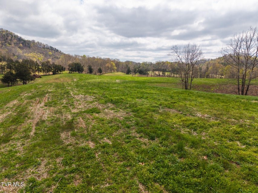 Photo #24: 512 Hwy 70