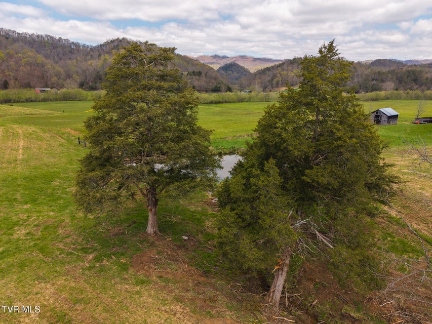 Photo #26: 512 Hwy 70