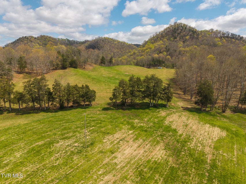 Photo #41: 512 Hwy 70