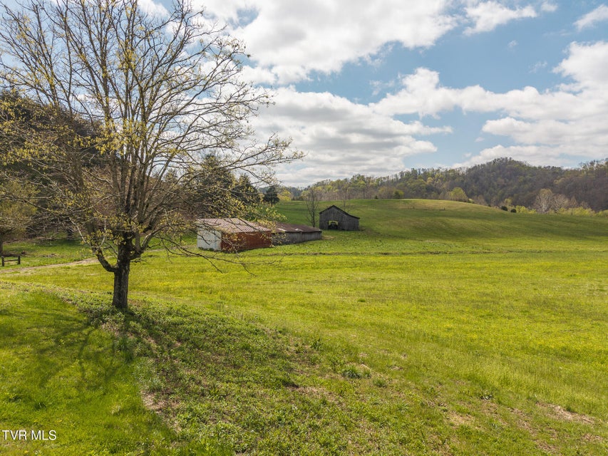 Photo #55: 512 Hwy 70