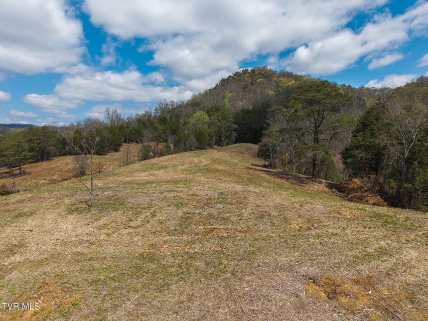 Photo #71: 512 Hwy 70