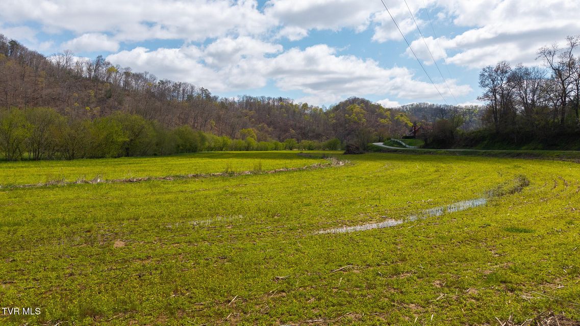 Photo #3: 1025 Livesay Chapel Road