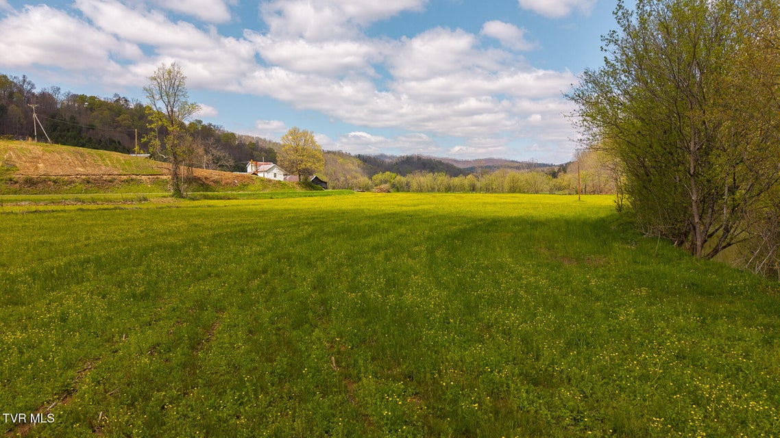 Photo #4: 1025 Livesay Chapel Road