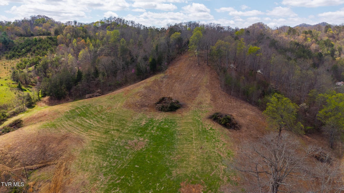 Photo #19: 1025 Livesay Chapel Road