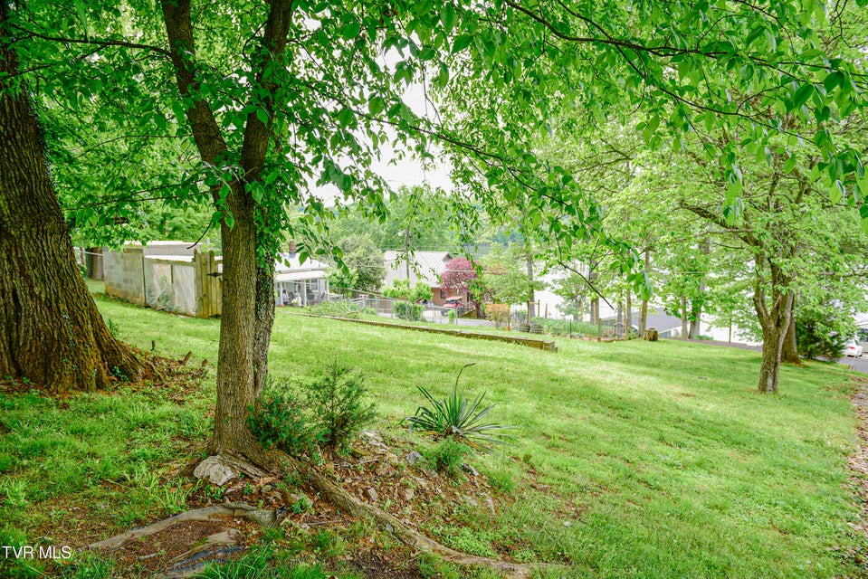 Photo #9: 1033 Haw Ridge Road