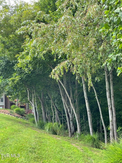 Photo #12: 106r Ridgetop Drive