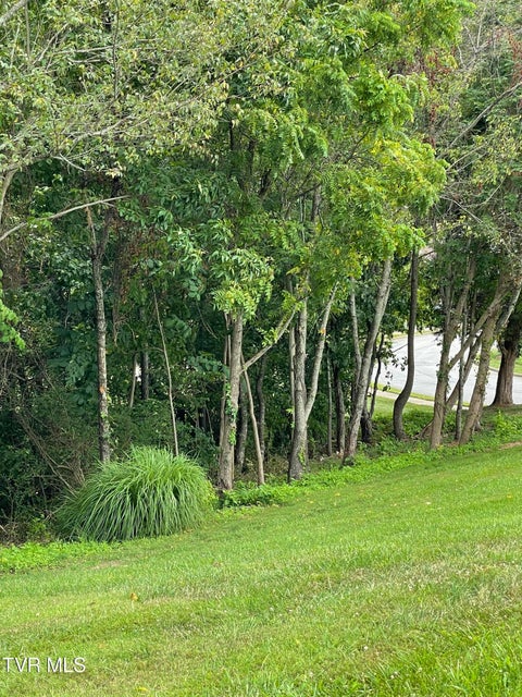 Photo #13: 106r Ridgetop Drive