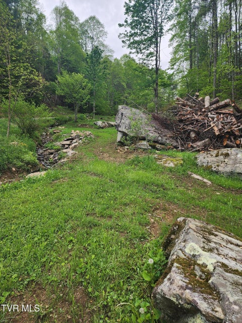 Photo #20: 1026 Mcewen Road