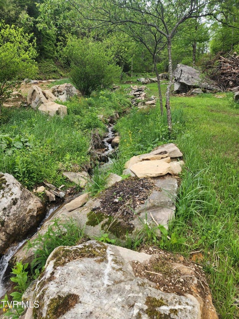 Photo #21: 1026 Mcewen Road