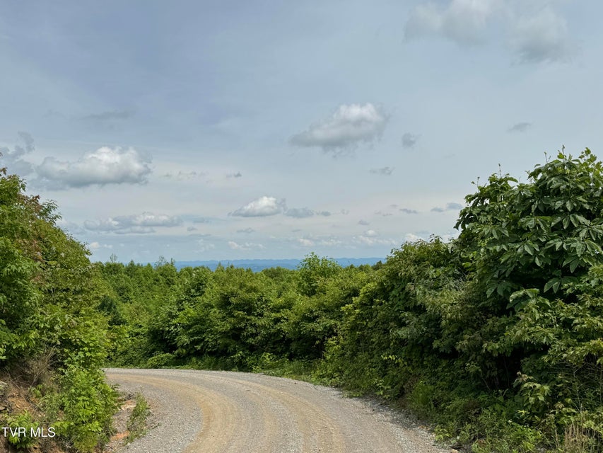 Photo #25: 4331 Sentry Road