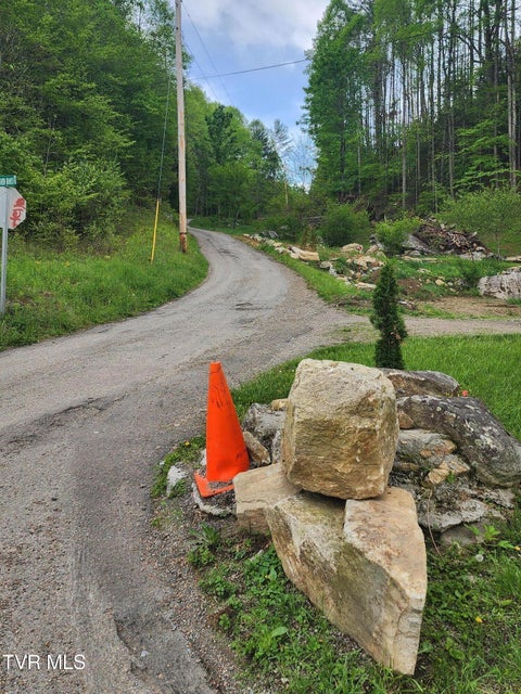 Photo #29: 1026 Mcewen Road