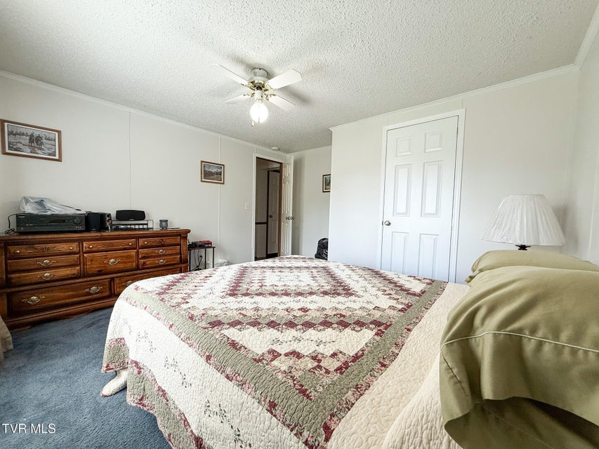Photo #17: 245 Wesley Drive