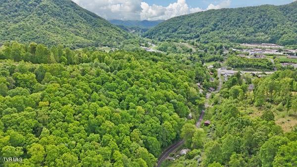 Photo #2: Tbd Reed Hollow Road