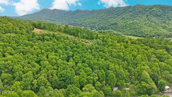 Photo #3: Tbd Reed Hollow Road