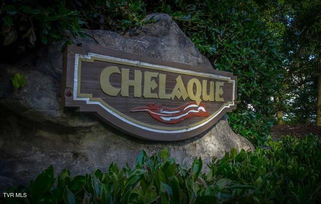 Photo #21: 351 Chelaque Way
