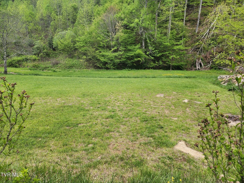 Photo #6: 1026 Mcewen Road