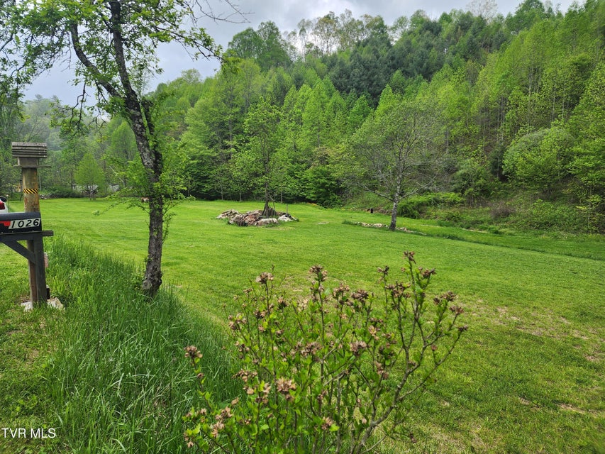 Photo #7: 1026 Mcewen Road