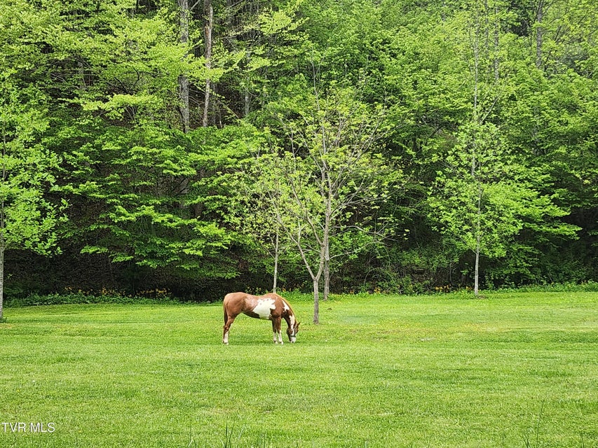 Photo #3: 1026 Mcewen Road