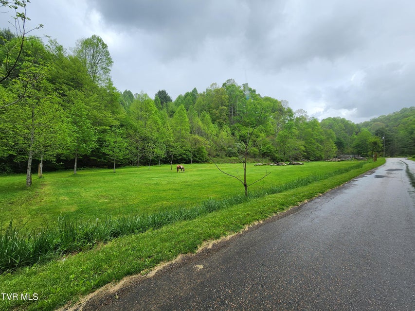 Photo #4: 1026 Mcewen Road