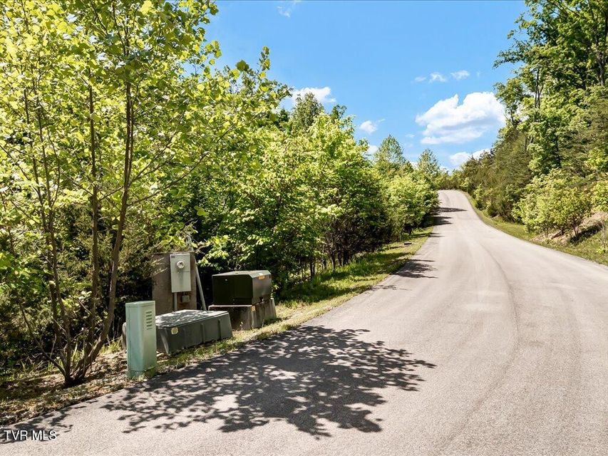 Photo #6: Lot 23 Emerald Pointe Boulevard