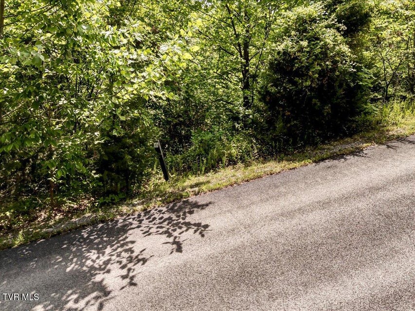 Photo #7: Lot 23 Emerald Pointe Boulevard