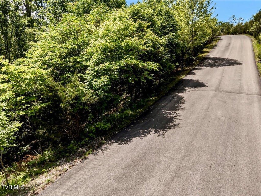Photo #8: Lot 23 Emerald Pointe Boulevard
