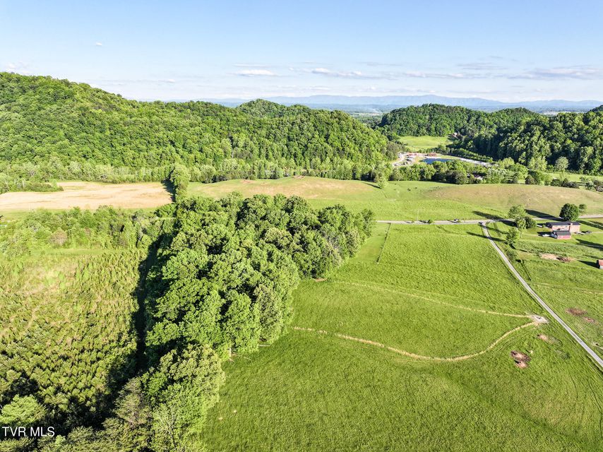 Photo #11: Tbd Lonesome Pine (Lot #10) Trail