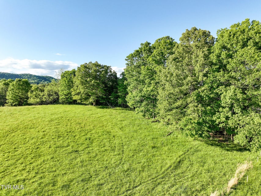 Photo #16: Tbd Lonesome Pine (Lot #10) Trail
