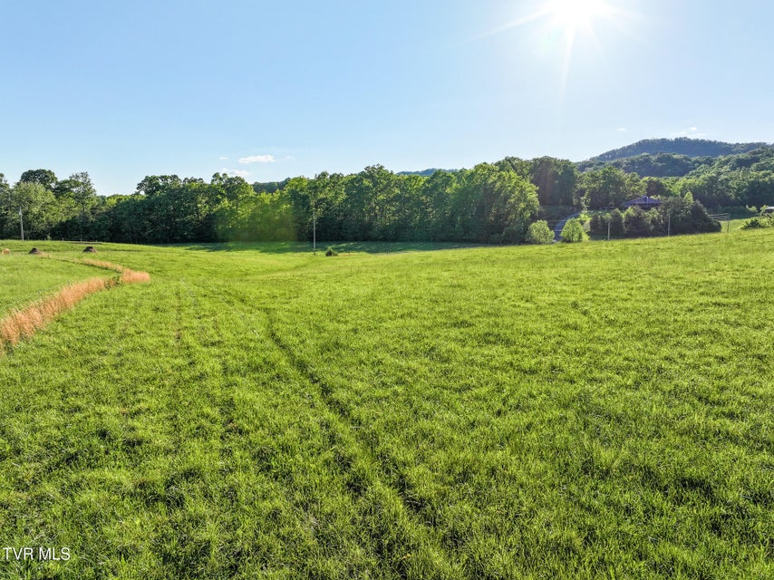 Photo #19: Tbd Lonesome Pine (Lot #10) Trail